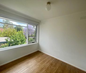 Two Bedroom Apartment – Light & Bright Living - Photo 5