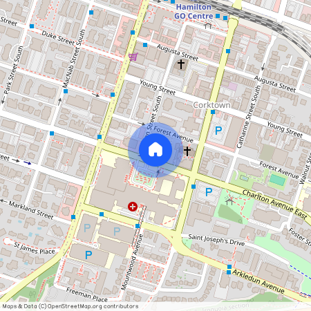 41 Charlton Ave W, Corktown, Corktown, Hamilton, L8N 1Y2