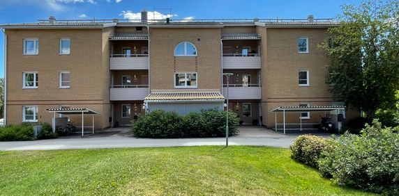 Lyckogränd, Skellefteå - Foto 2