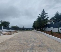 Μονοκατοικία για ενοικίαση - Μαρκόπουλο Ωρωπού, - Photo 6