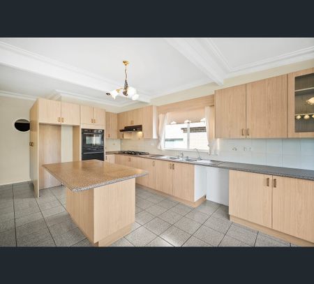 43 Chamberlain Road, Bexley, NSW 2207 - Photo 5