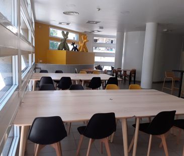 Résidence étudiante Le Van Gogh Nice - Photo 5