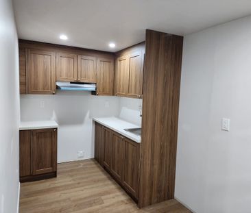 For Lease - 2421 Seven Oaks Ridge Unit# Bsmt, London South, Ontario - Photo 3