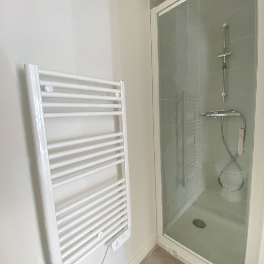 Location Appartement 1 pièce 17m² NIORT 79000 - Photo 1