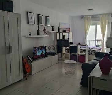 Alquiler de estudio en Avenida Vicente Aleixandre, 24 - Photo 3