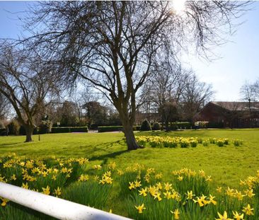 1 bedroom terraced house to rent - Photo 5