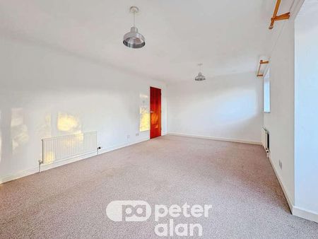 Celyn Avenue, Cyncoed, Cardiff, CF23 - Photo 3