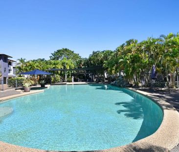 11/294 Kamerunga Road, Freshwater QLD 4870 - Apartment For Rent | D... - Photo 2