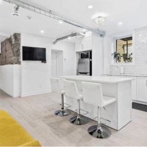 McGill Area - Superb 4 1/2 Furnished - Photo 2