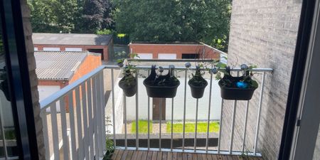 Appartement te huur in Sleidinge voor € 780 met 2 slaapkamers - Photo 2