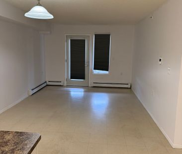 Monarch Place – Spacious Condo Unit with Wheelchair Accessibility - Photo 5
