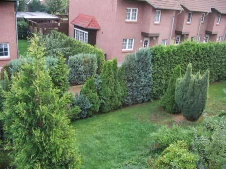 Wathlingen - Wohnvergnügen pur - 1A großer Balkon und EBK - Foto 2