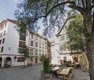 Location Appartement 2 pièces 53m² STRASBOURG 67000 - Photo 2