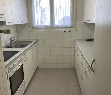 Wir suchen genau Sie - Foto 3