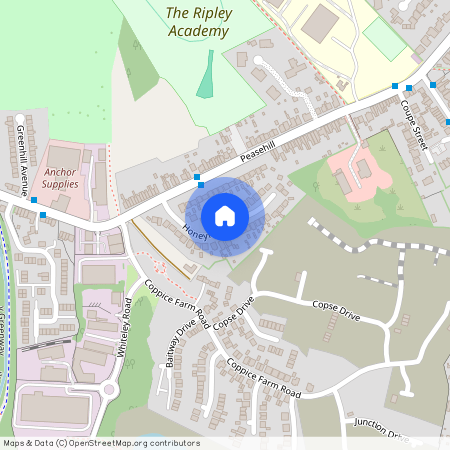 HoneyfieldDrive, RIPLEY