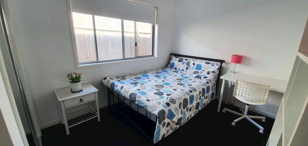 Mango Hill - Photo 1