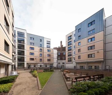 Platinum Plus Ensuite - Photo 6