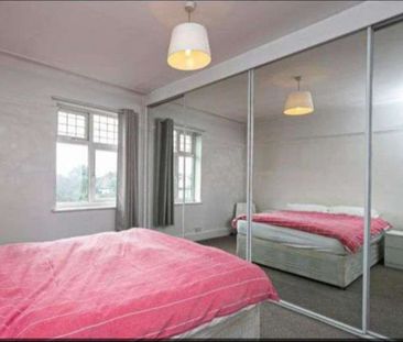 Madeira Grove Room 5 - First Floor, Back Room - Photo 1