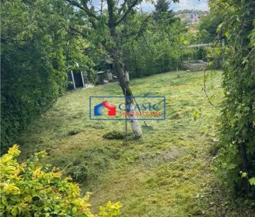 Inchiriere casa 3 camere cu gradina de 500 mp in Dambul Rotund - Fotografie 5