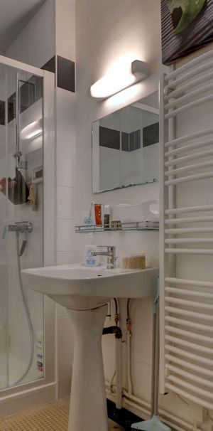 Location Appartement 1 pièce 23m² TOURS 37000 - Photo 1