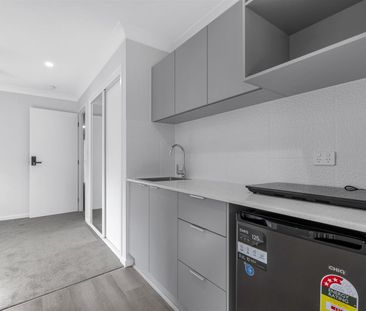 BRAND NEW UNFURNISHED STUDIOS - LAST ONE! - Photo 4