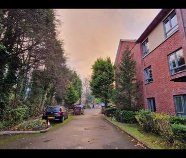 1 Bed Flat, Rusholme, M14 - Photo 4