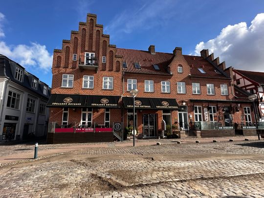 Hyggelig 2-værelses lejlighed i Aalborg centrum - Photo 1