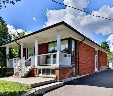 For Lease - 317 Albion Road, Toronto, Ontario - Photo 5