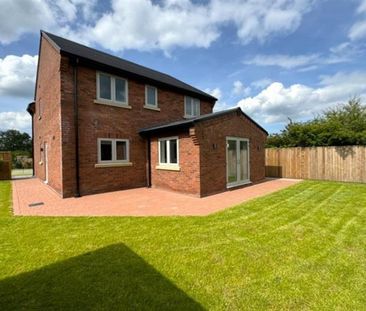 4 Bedroom Detached To Let - Photo 4