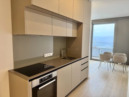 DANUBEFLATS: All In Miete - direkt bei der U1 Donauinsel inkl. Wellness, Fitness und Pool - Photo 4