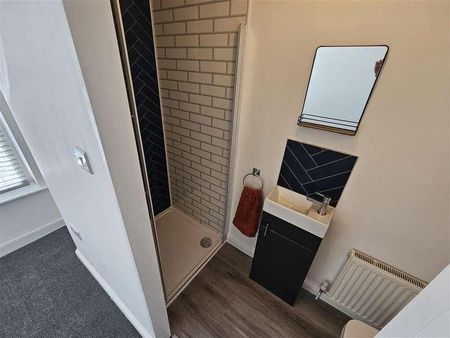 Diana Street, Roath, Cardiff, CF24 - Photo 5