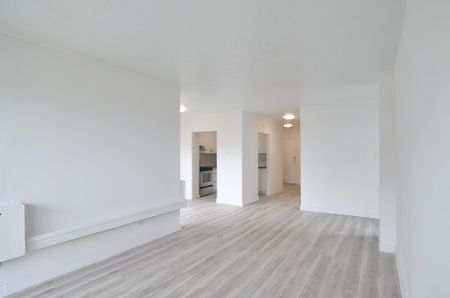 Condo à louer, Mont-Royal - Photo 3