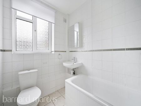 Maple Road - Photo 4