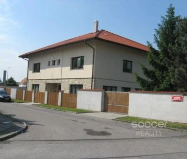 Pronájem nebytového prostoru - bytu, 20 m - Photo 4