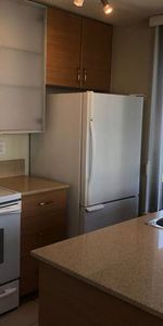 Pets ok,LUXURY one bedroom,one bath (corner unit) 20th floor - Photo 4