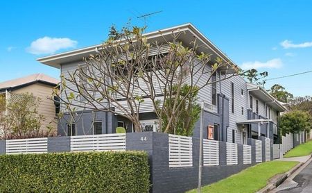 44 Dutton Street, Hawthorne QLD 4171 - House For Rent | Domain - Photo 3