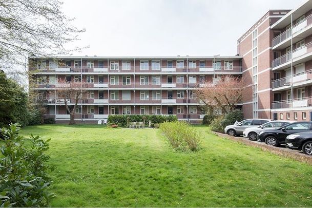 Te huur: Appartement Okeghemlaan in Breda - Photo 1