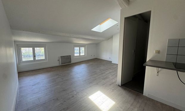 Location Appartement 1 pièce LIMOGES (87000) - Photo 1