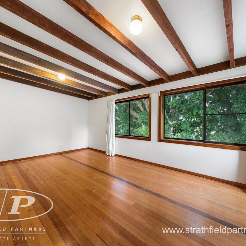 17 Allen Street, Leichhardt NSW 2040 - House For Rent | Domain - Photo 1