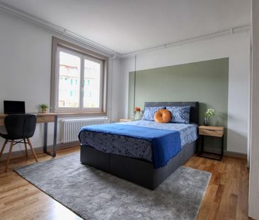Matthew #4 - Your Ideal Coliving Space in Zurich - Photo 1