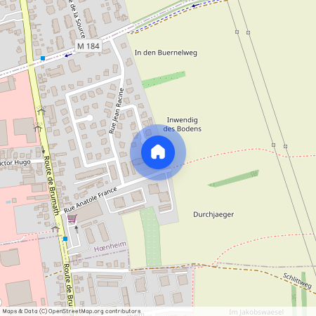 9 Rue Anatole France, 67800, Hoenheim