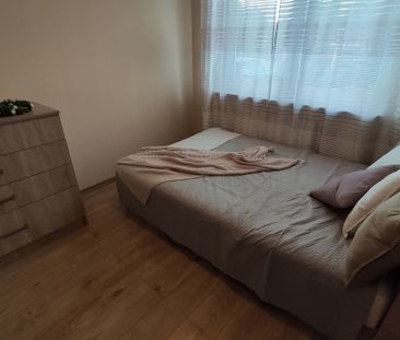 Wołomiński (pow.), Radzymin (gm.), Radzymin, Kwiatów Polskich - Zdjęcie 6