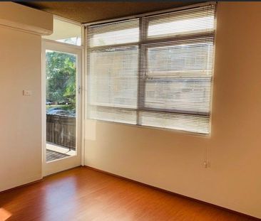 Immaculate One-Bedroom Apartment in the Heart of Ashfield - Photo 3