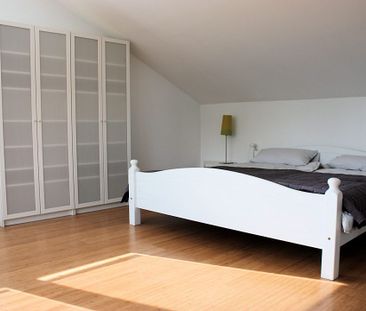 Großzügiges Apartment zwischen Köln und Bonn - Photo 1