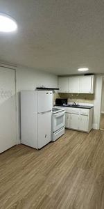 Newly Renovated Downtown 1-bedroom Suit - Photo 3