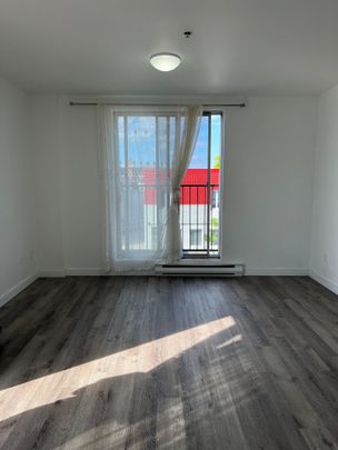 6580 Av. Papineau #1, Montréal (Rosemont/La Petite-Patrie), H2G2X2 - Photo 1