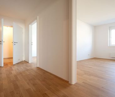 SCHEIBBS XXIII/1 - Foto 6