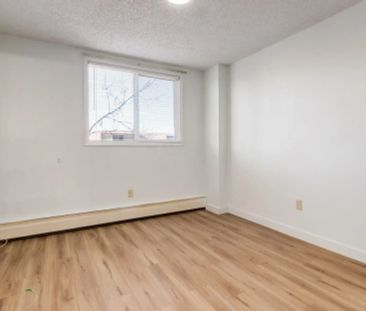 1 Bedroom - Photo 4