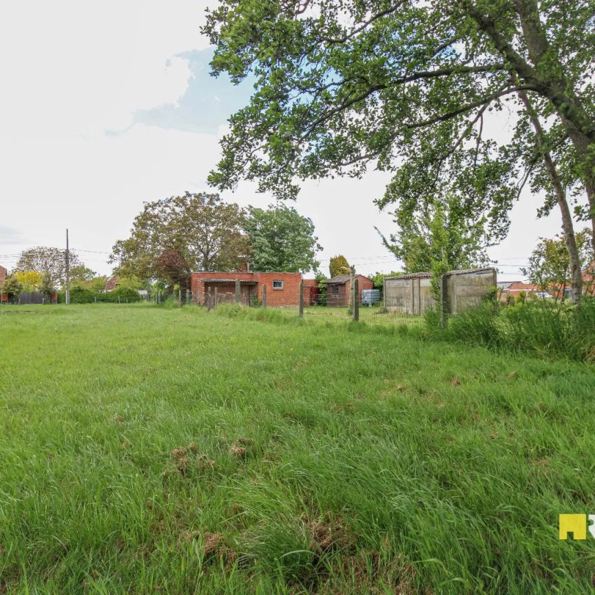 Landelijk gelegen alleenstaande woning met weide! - Foto 1