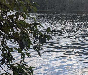 North Avoca - Photo 6